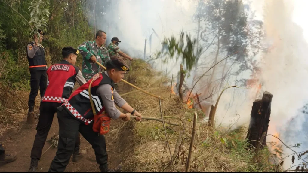Kebakaran Hutan di Taman Nasional Bromo Tengger Semeru